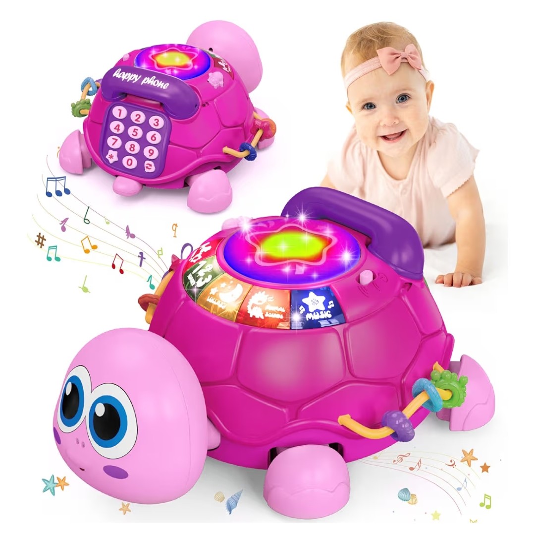 Musical Baby Turtle