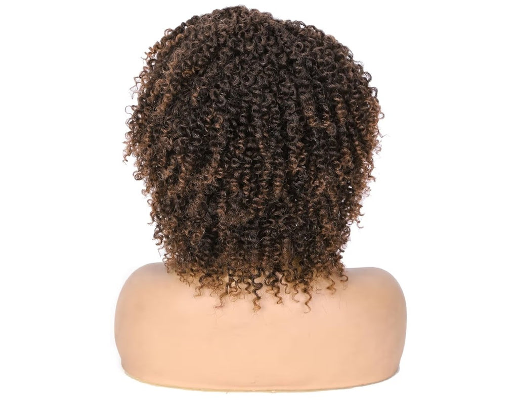 Quantum Afro Curly Wig