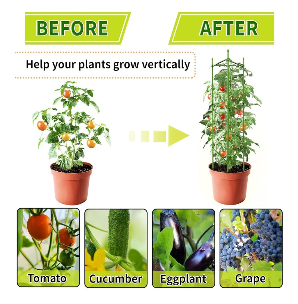 Tomato Cages (6 pack)