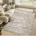 Distressed Area Rug 6x9ft