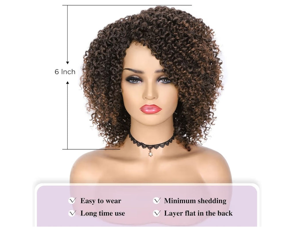 Quantum Afro Curly Wig