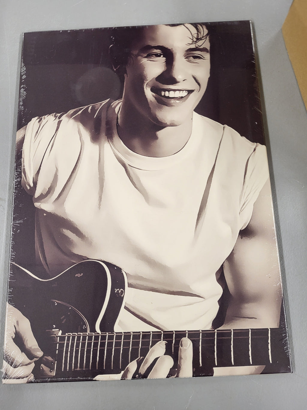 Shawn Mendes Displate