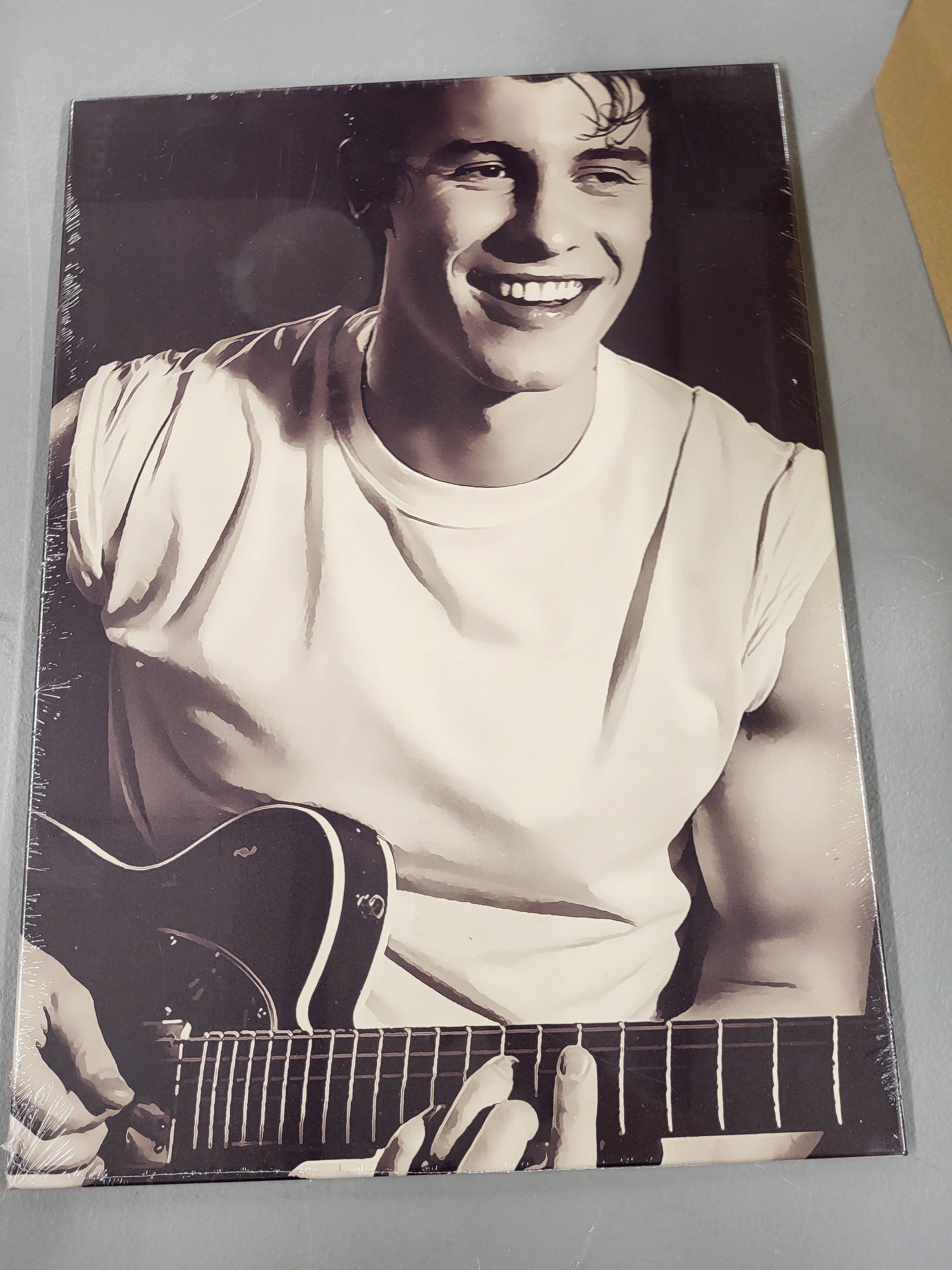 Shawn Mendes Displate