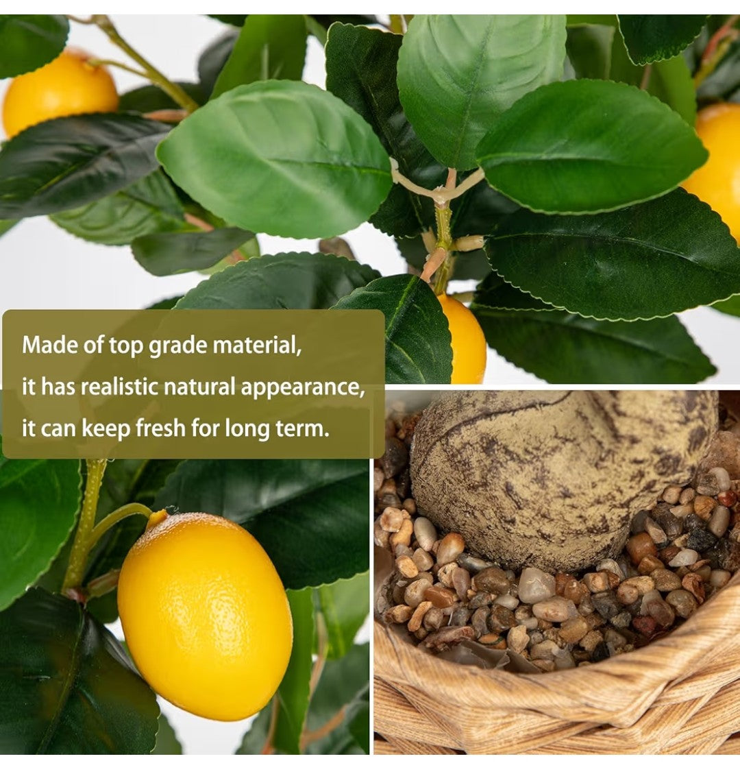 Artificial Citrus Plant