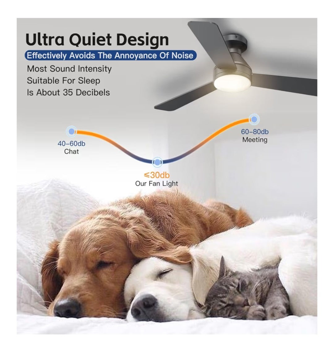 Ceiling Fan 42in with Remote