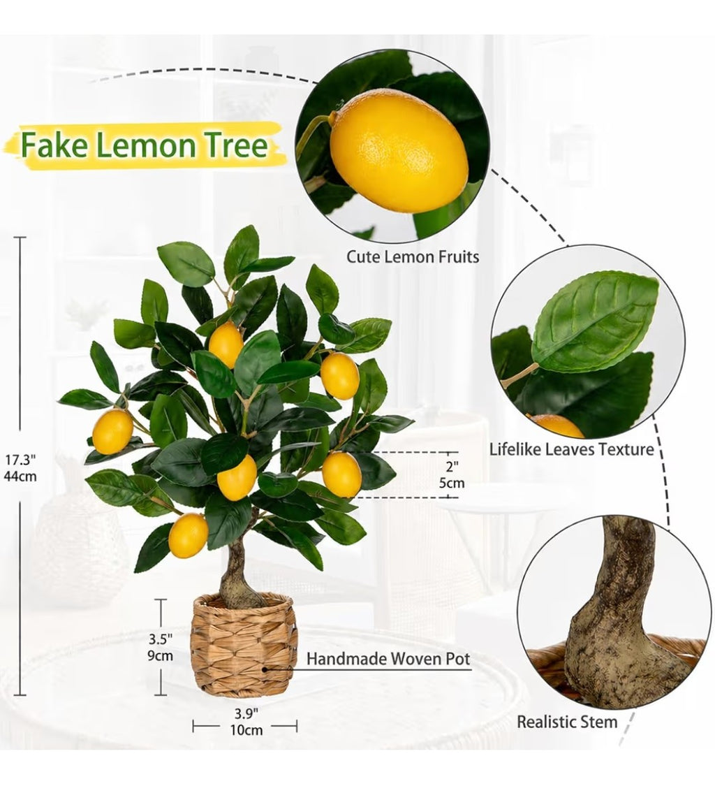 Artificial Citrus Plant