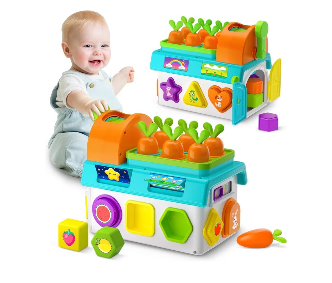 Little Sprouts Playground