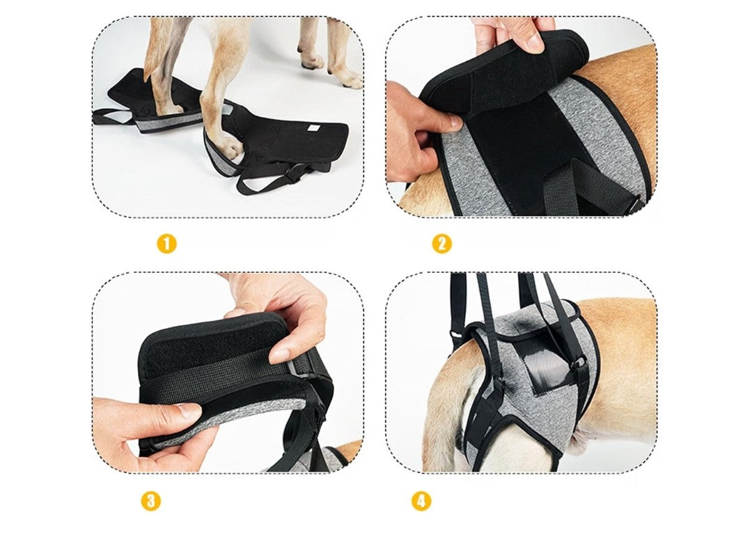 Dog Back Legs Lifting Harness (Size Large)