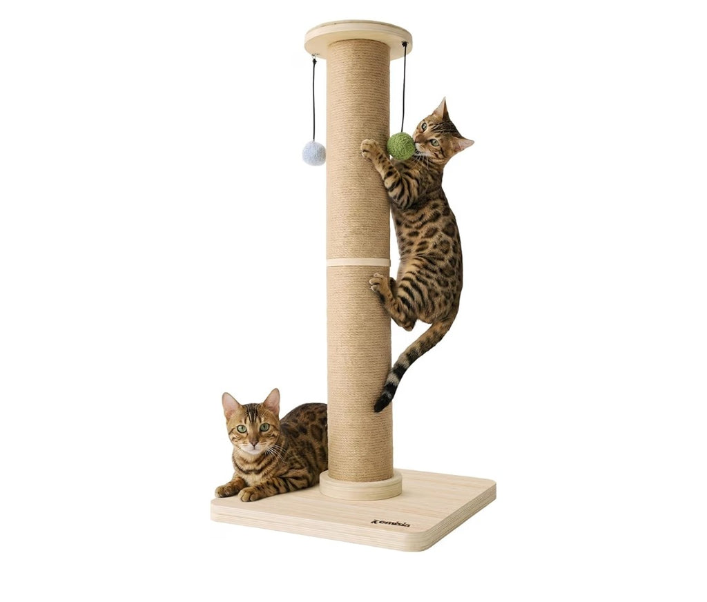 Zomisia Cat Scratching Post