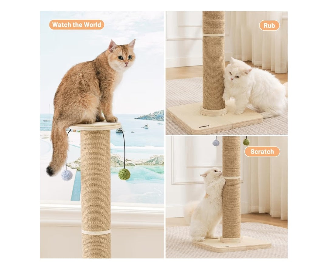 Zomisia Cat Scratching Post