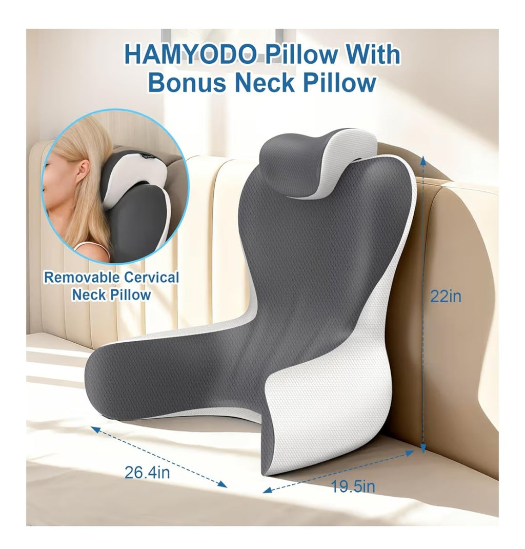 Hamyodo Reading Pillow