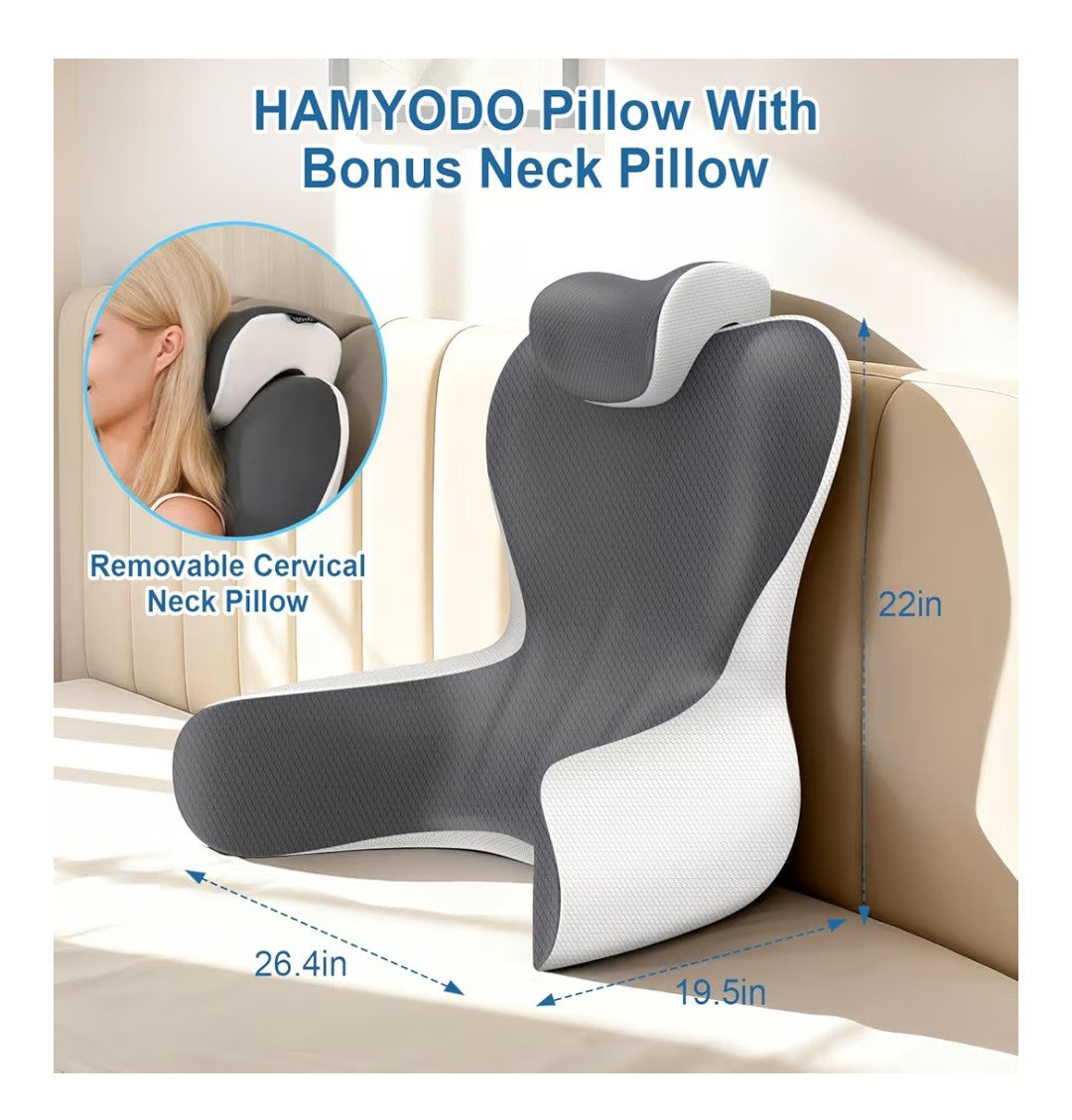 Hamyodo Reading Pillow