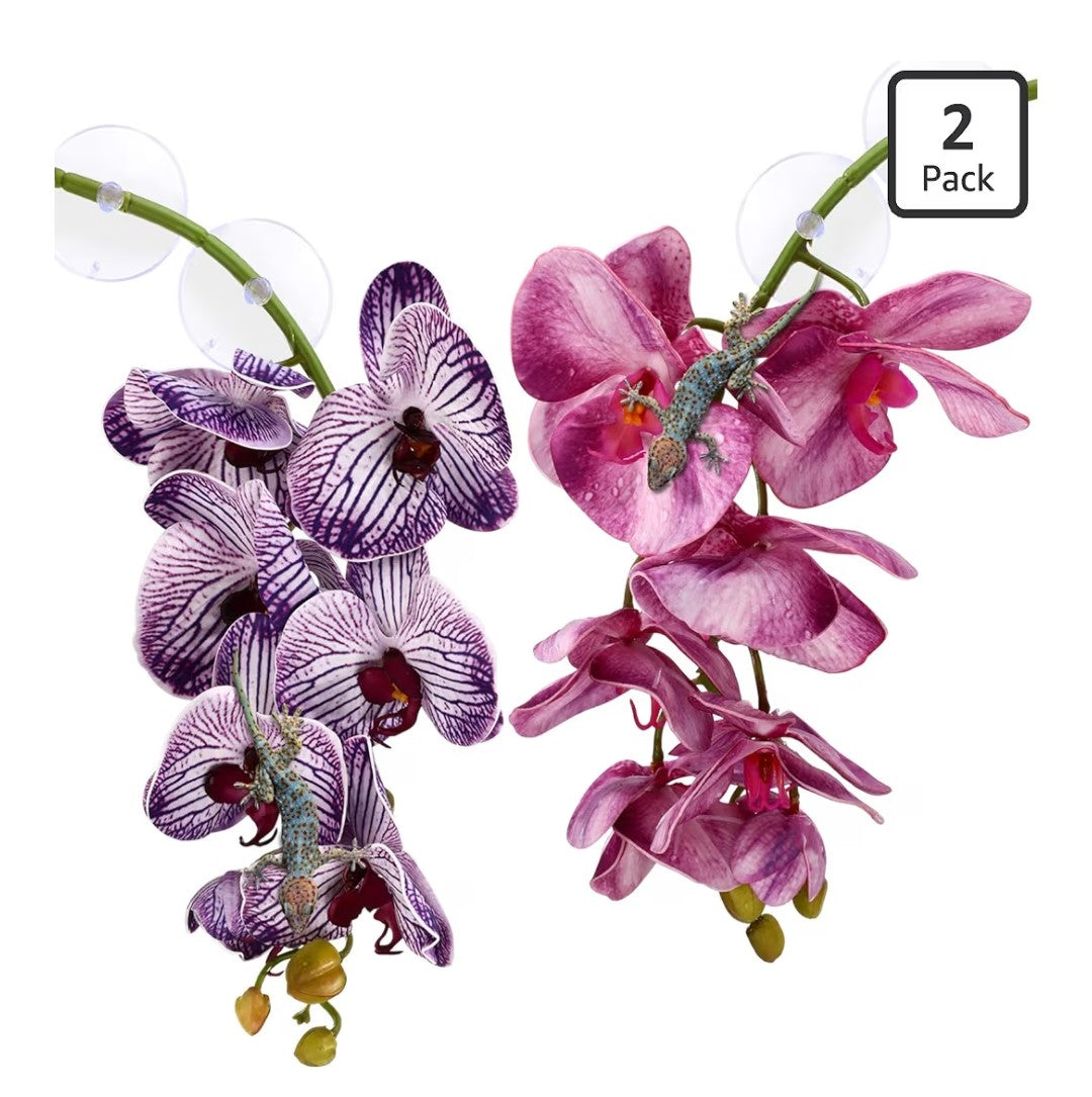 Artificial Phalaenopsis with Suction Cups 2 pack