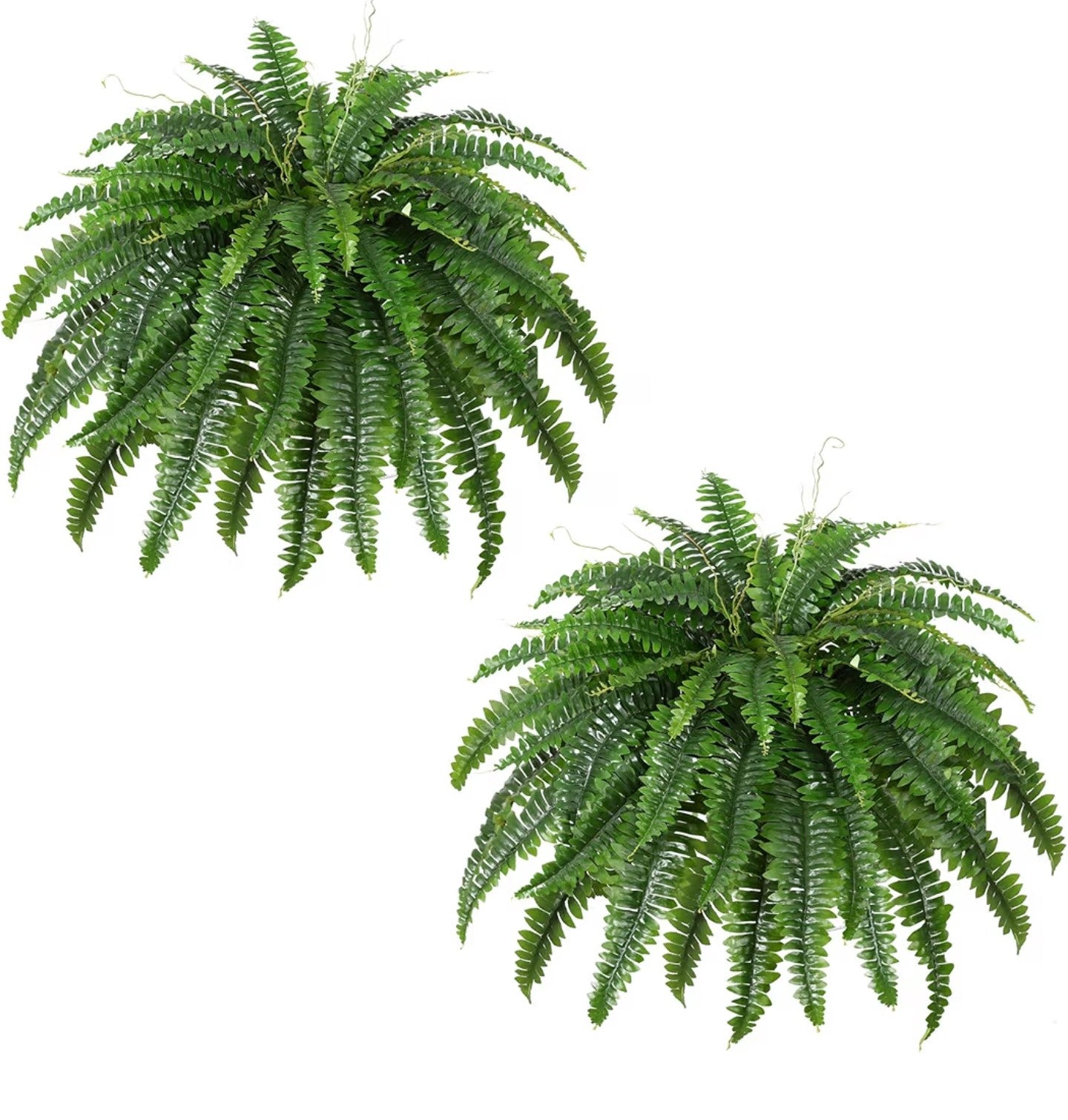 Artificial Boston Fern Bush- Set of 2 Large Artificial Ferns
