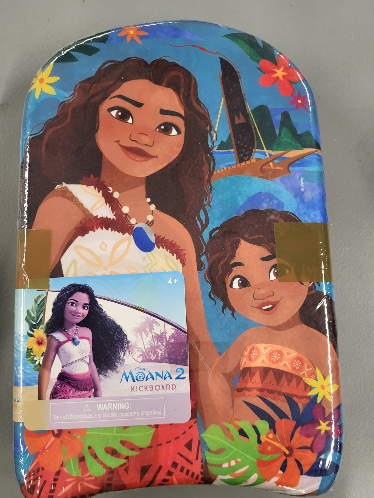 Moana 2 Kickboard (2 pack)