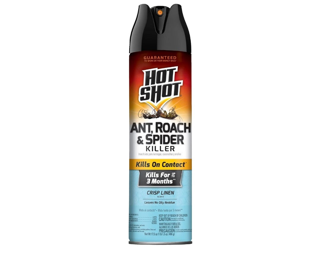 Hot Shot Ant, Roach, and Spider Killer (17.5oz)