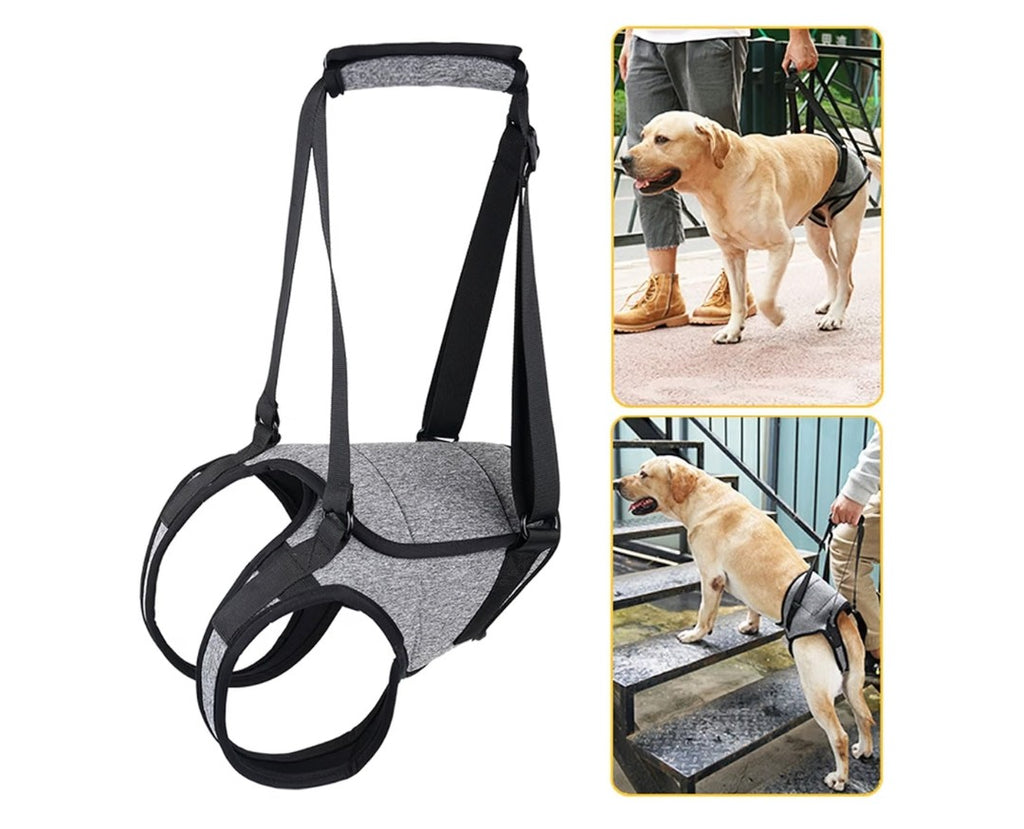 Dog Back Legs Lifting Harness (Size Large)