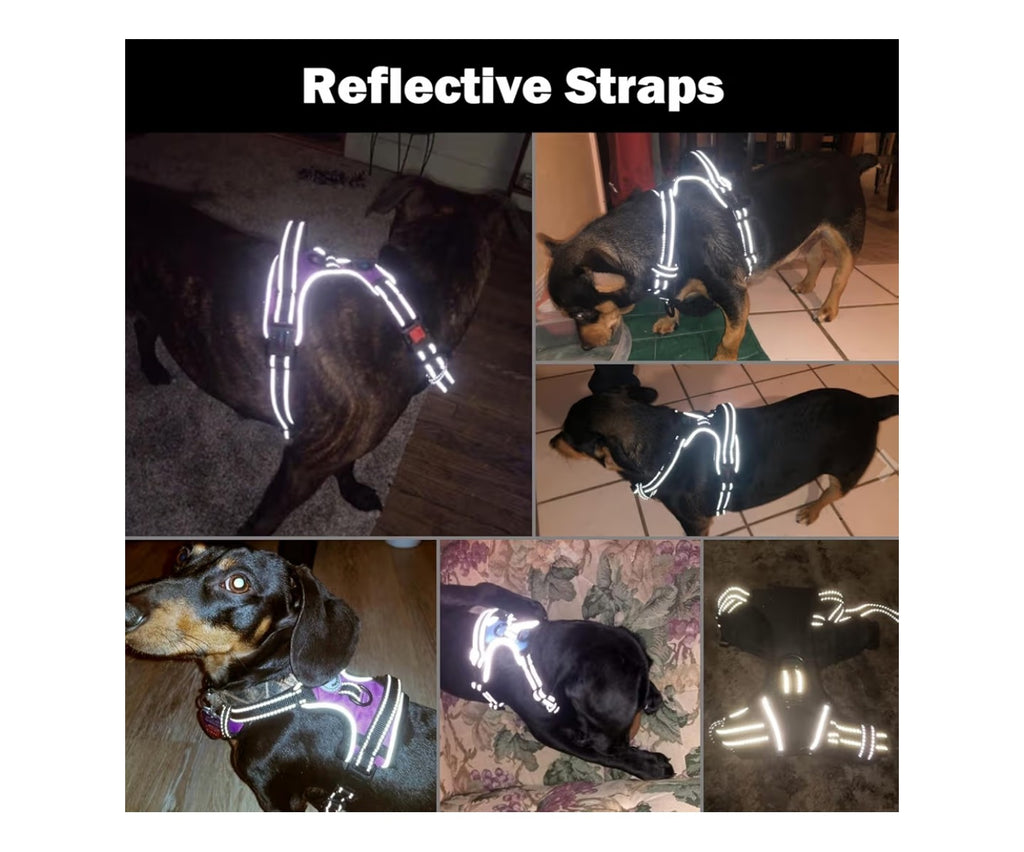 PHOEPET No Pull Dog Harness Medium Reflective.