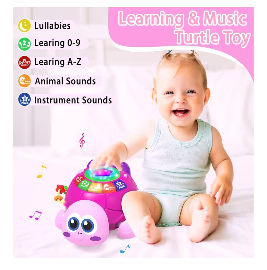 Musical Baby Turtle
