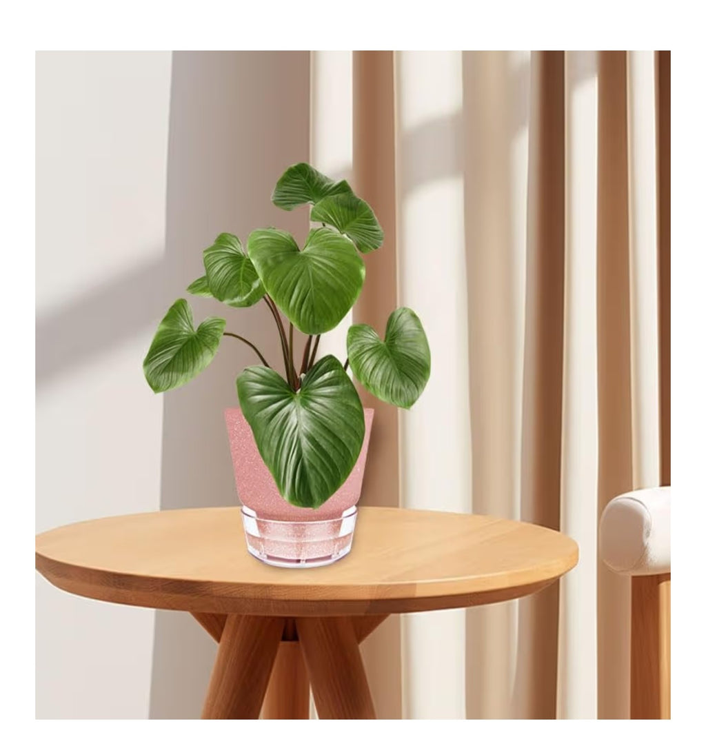 Self Watering Pots for Indoor Plants, with Visible Reservoir.