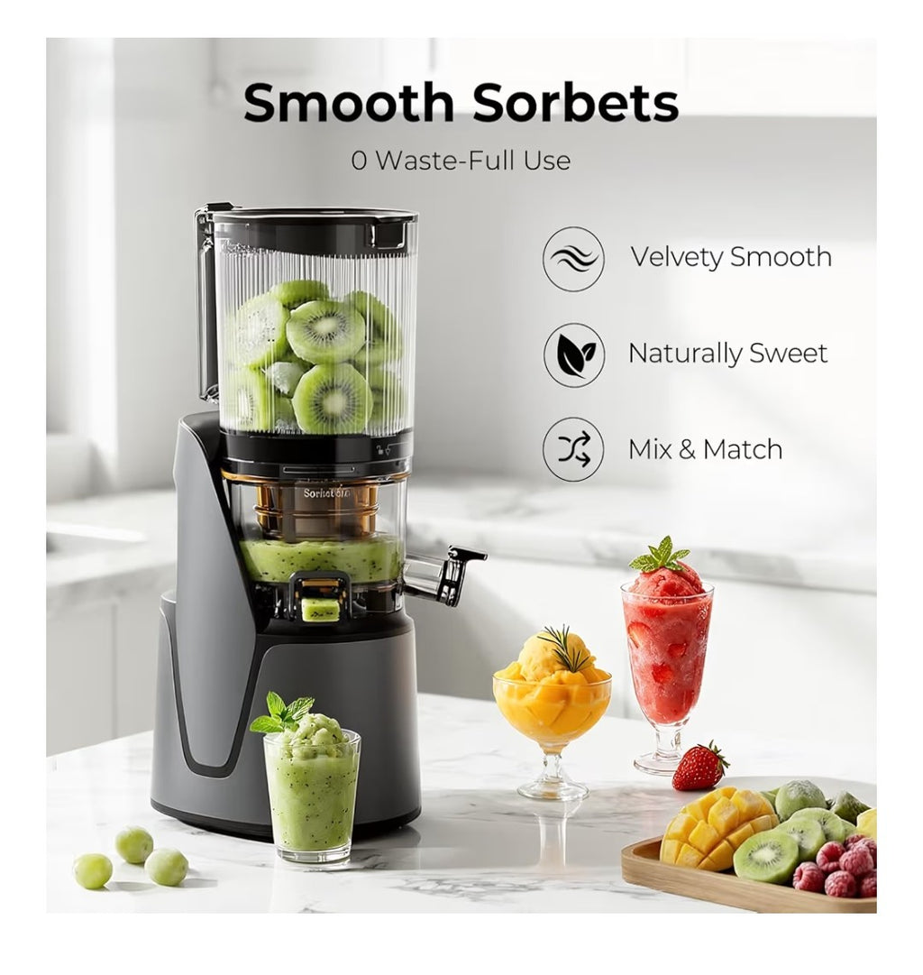 EanOruus 3-In-1 Cold Press Juicer
