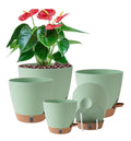 Fielda Self Watering Pots