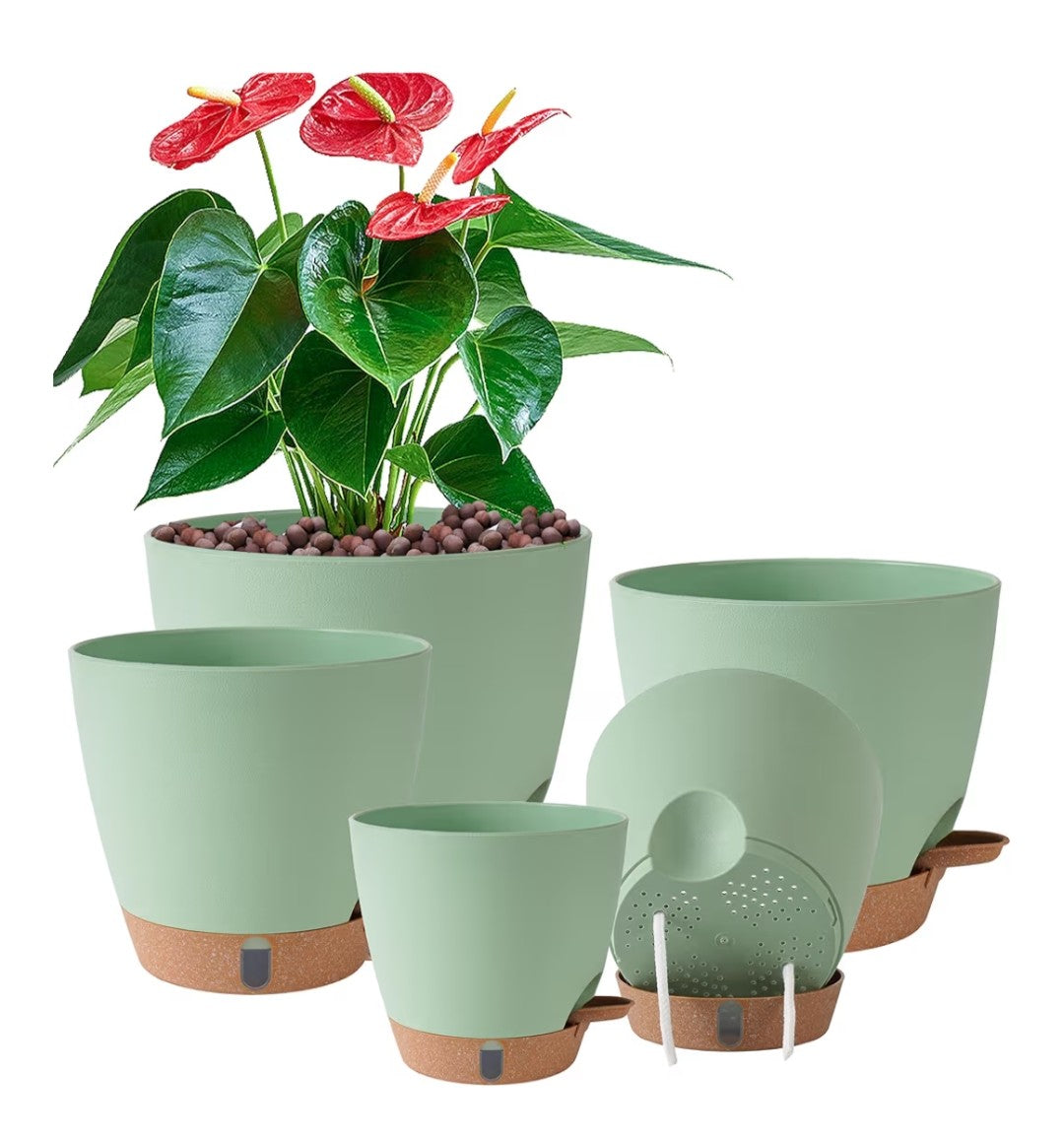 Fielda Self Watering Pots
