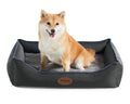 Tidore Orthopedic Dog Bed Medium