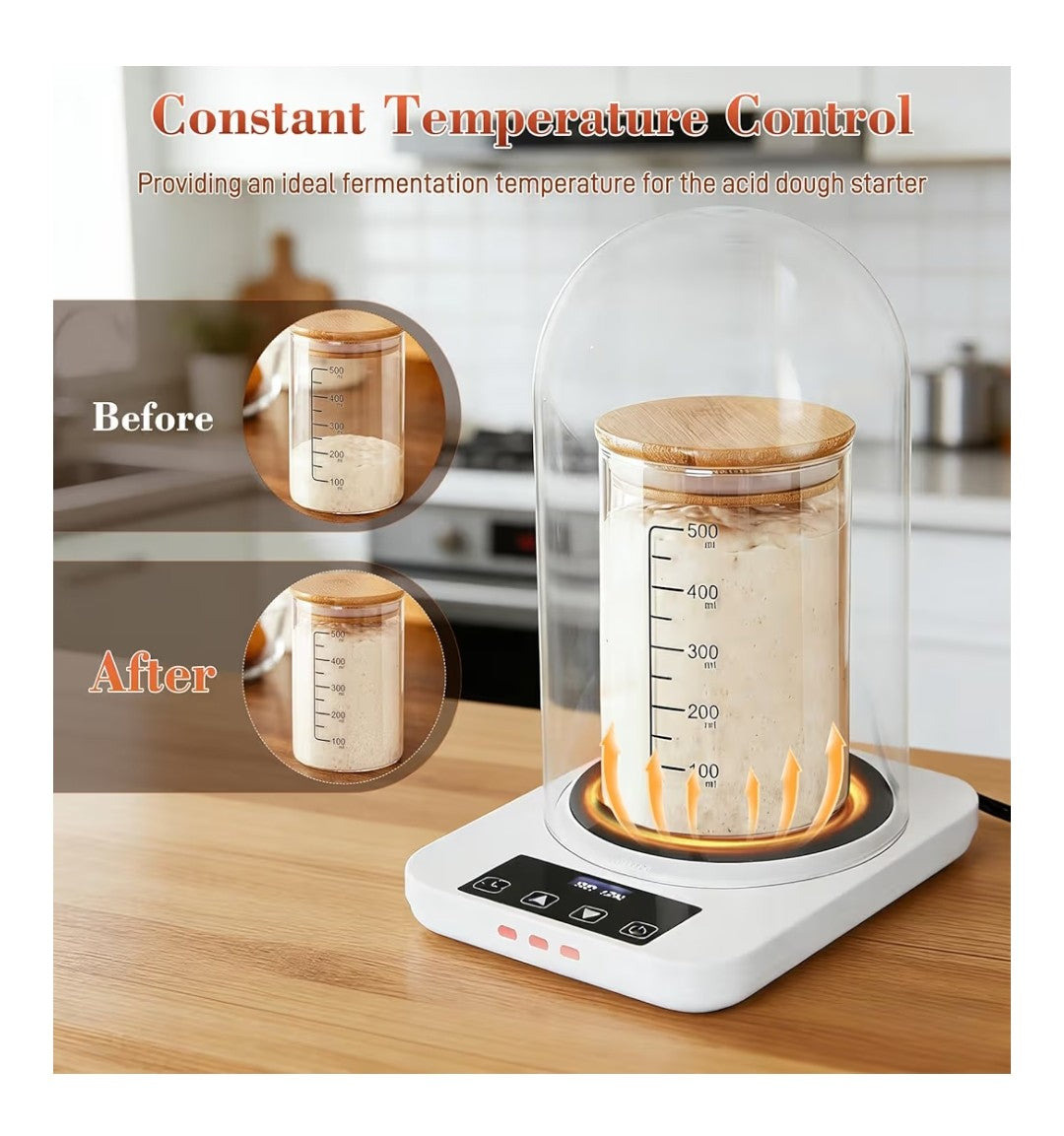 Sourdough Starter Warmer with Glass Dome