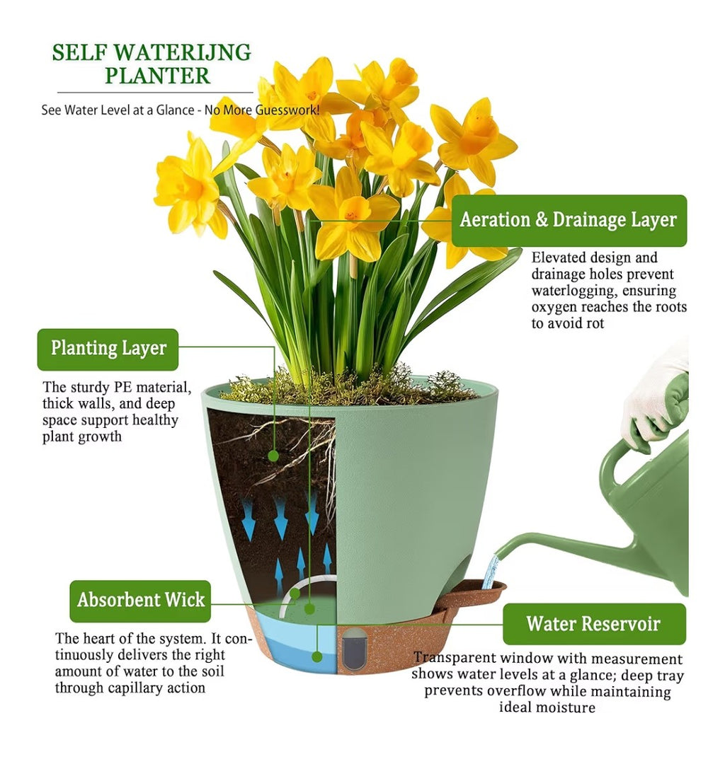 Fielda Self Watering Pots