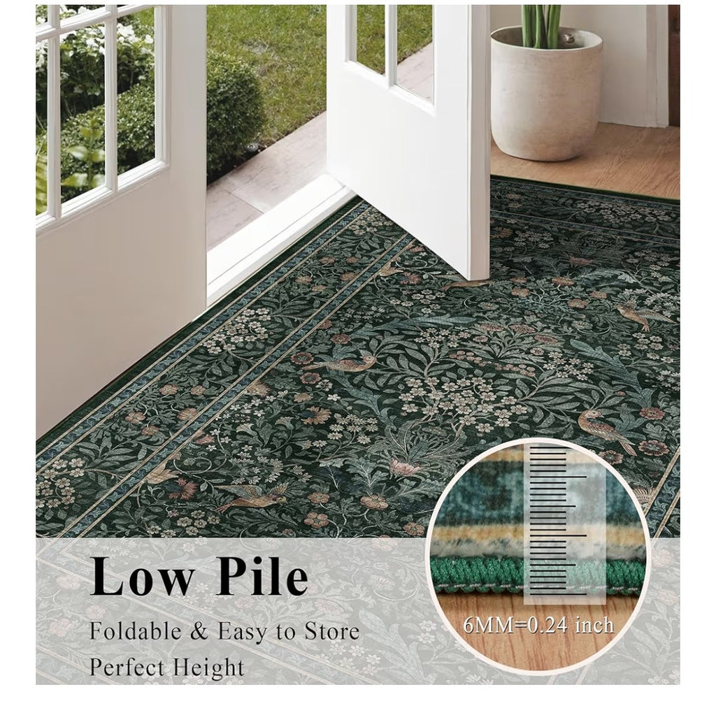 Area Rug 6x9ft