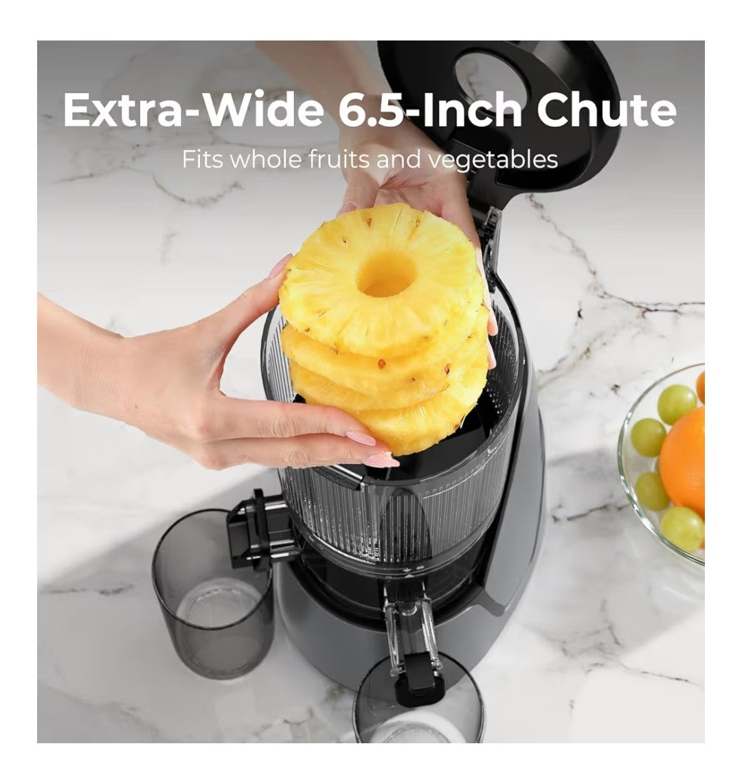 EanOruus 3-In-1 Cold Press Juicer