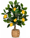 Artificial Citrus Plant