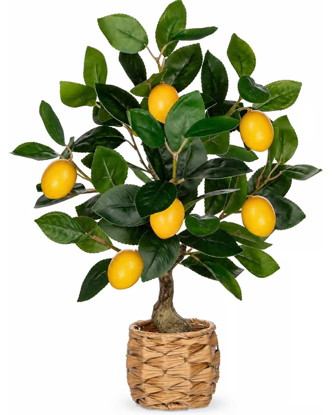 Artificial Citrus Plant