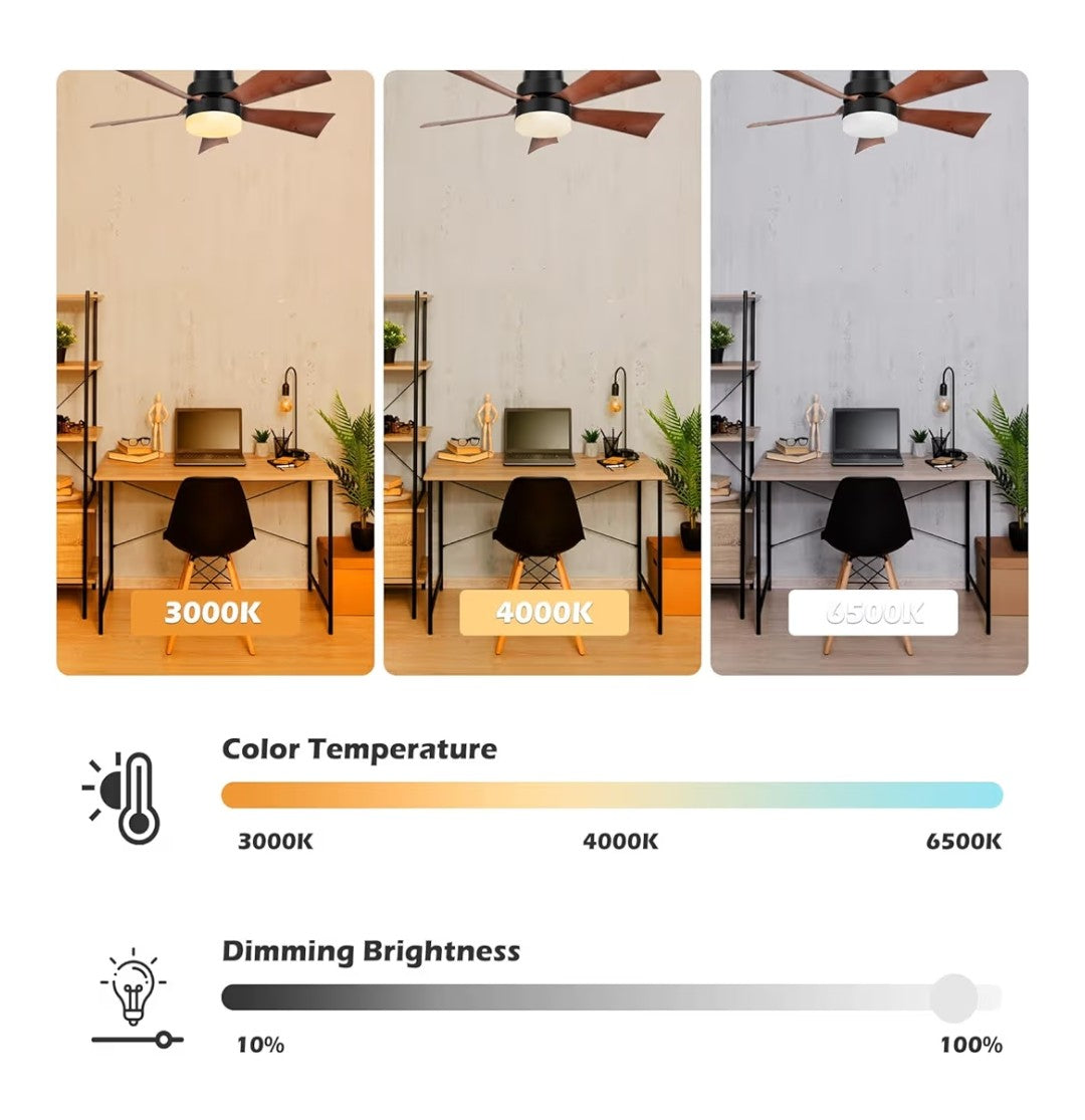 Socket Fan Light