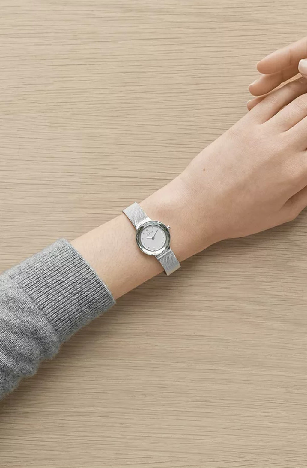 Skagen Leonora Steel Mesh Watch