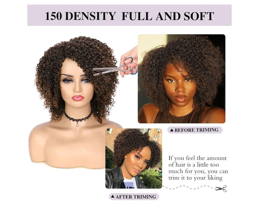 Quantum Afro Curly Wig