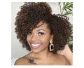 Quantum Afro Curly Wig