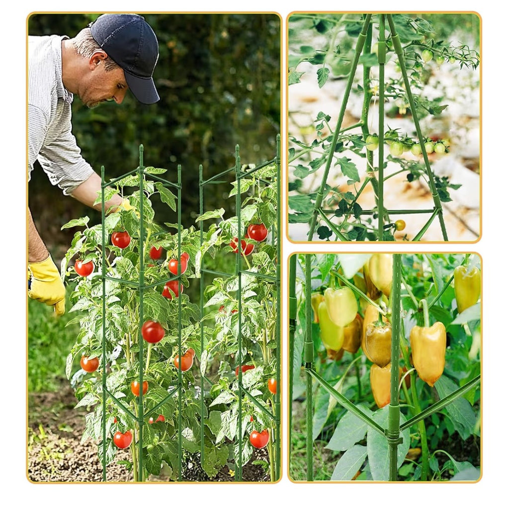 Tomato Cages (6 pack)
