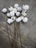 Velvet Pumpkin Stems (6 pack)