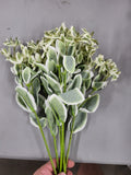 Artificial Snow-On-The-Mountain Flowers (6 pack)