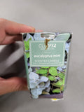 Eucalyptus Mint Scented Candle (3 oz)