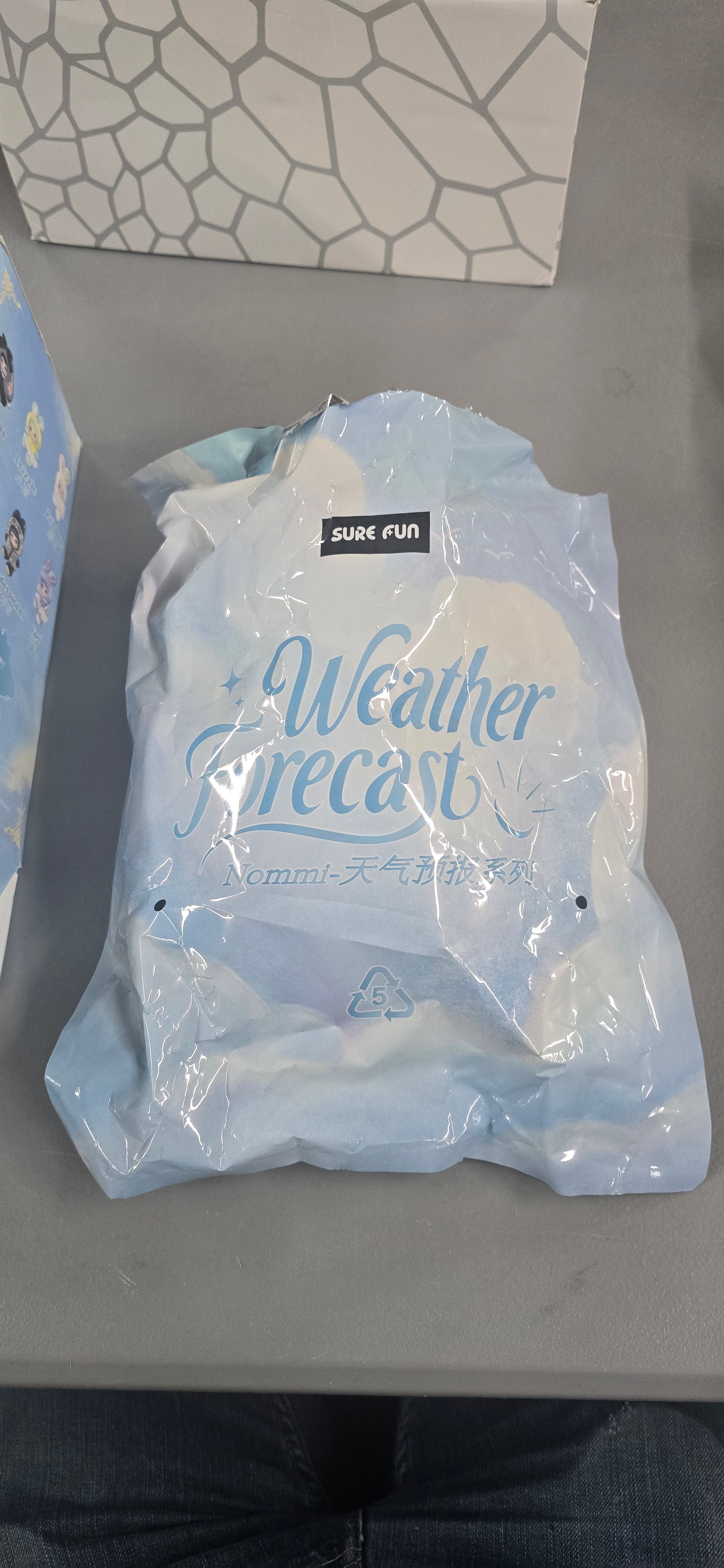 (Open Box) Nommi Weather Forecast Series Plush Blind Box