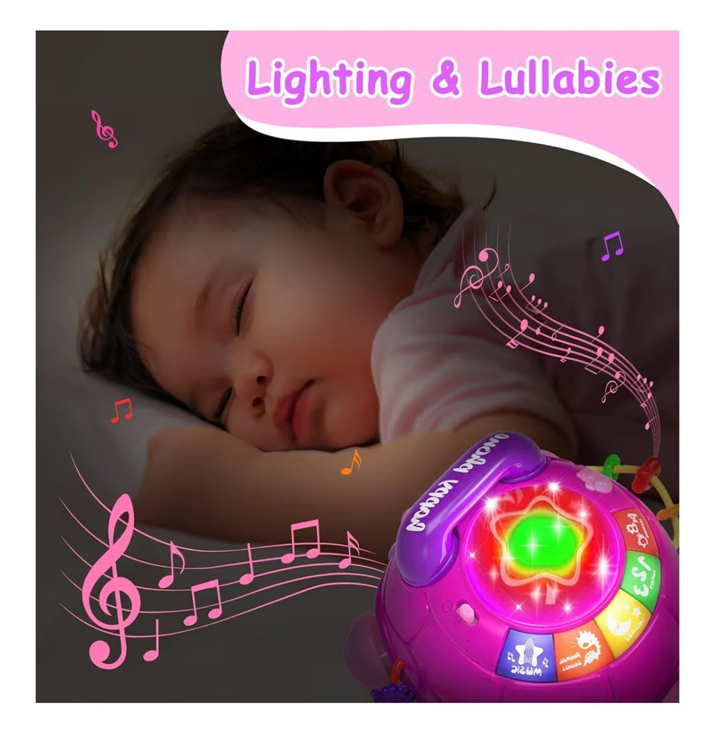 Musical Baby Turtle