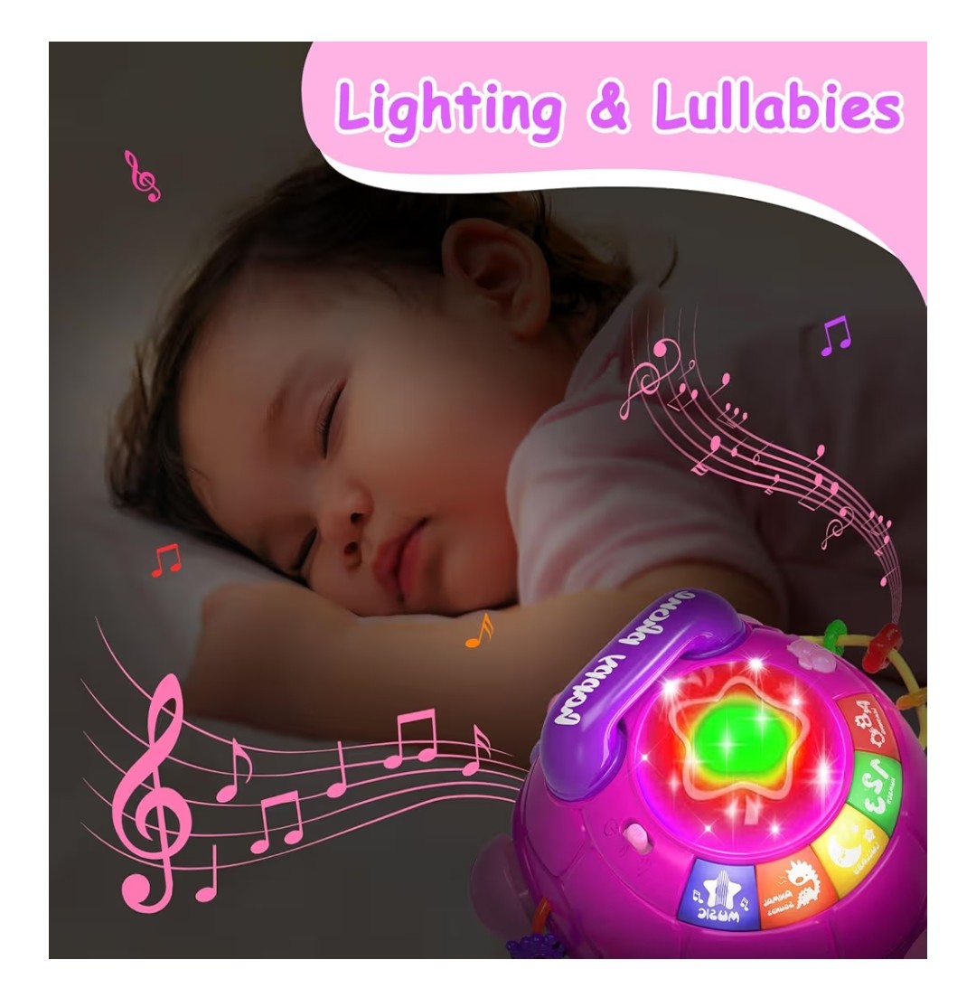 Musical Baby Turtle