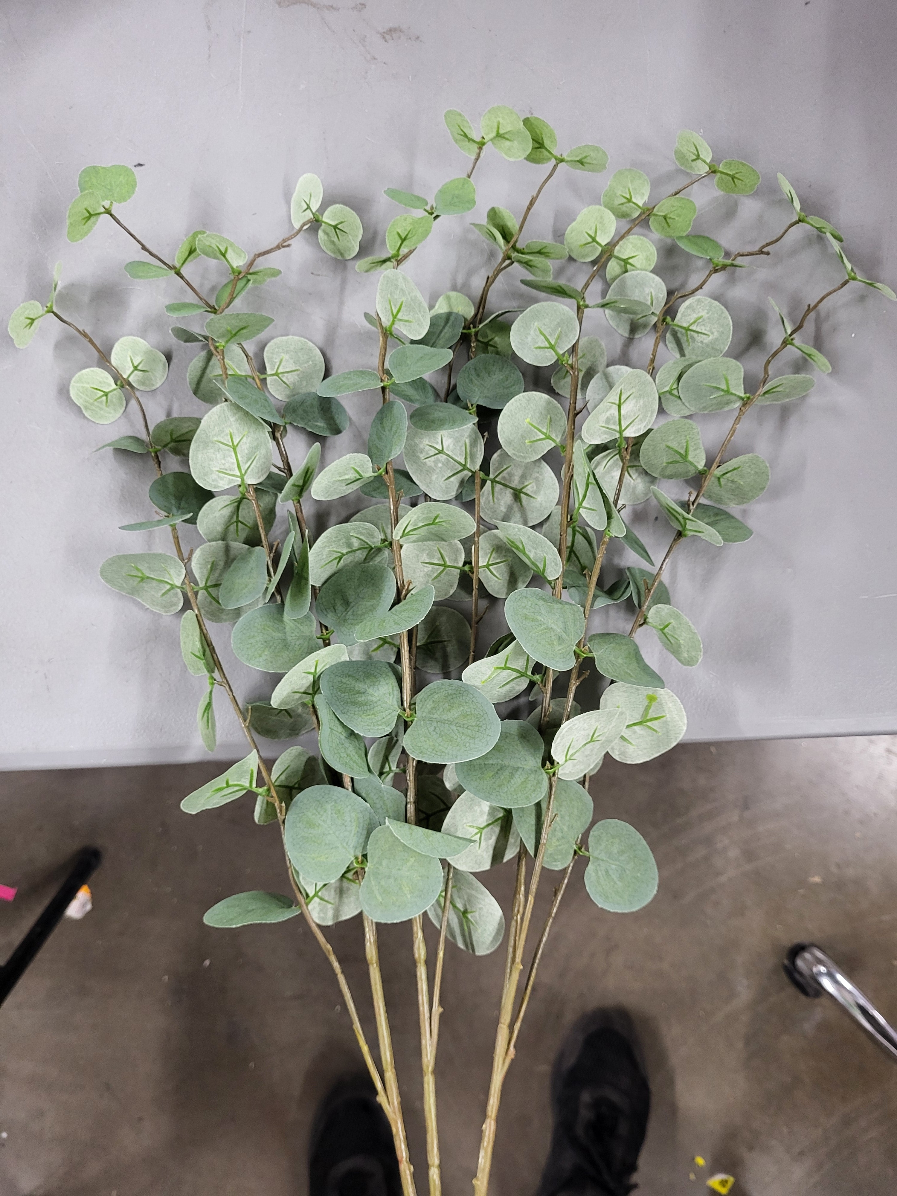 Artificial Silver Dolar Eucalyptus (3 pack)