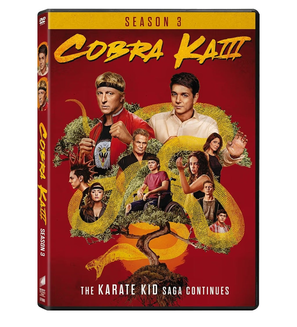 Cobra Kai Season 3