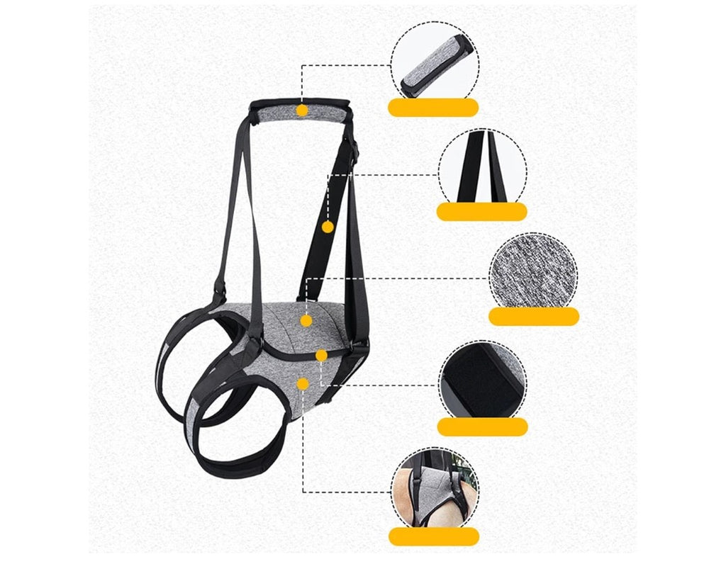 Dog Back Legs Lifting Harness (Size Large)