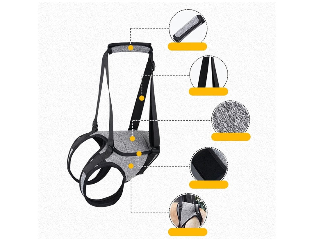 Dog Back Legs Lifting Harness (Size Large)
