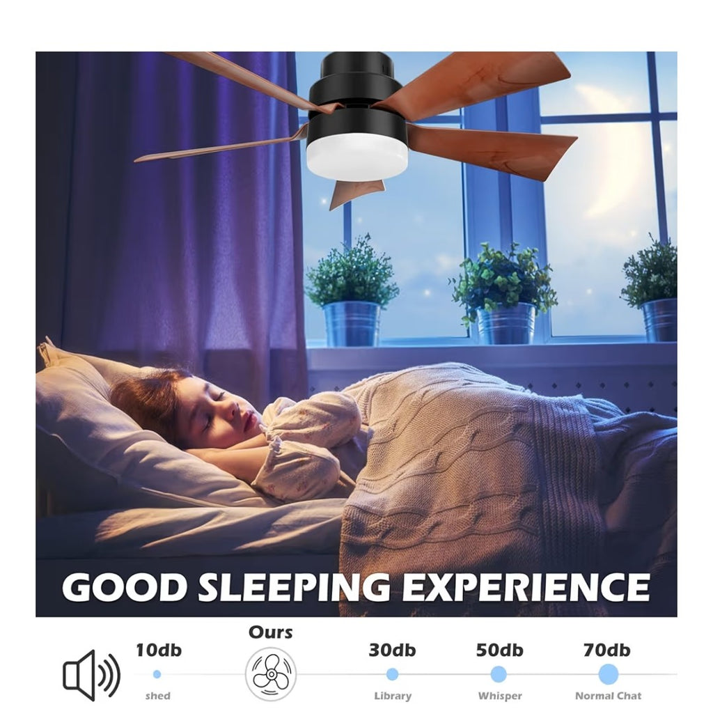 Socket Fan Light